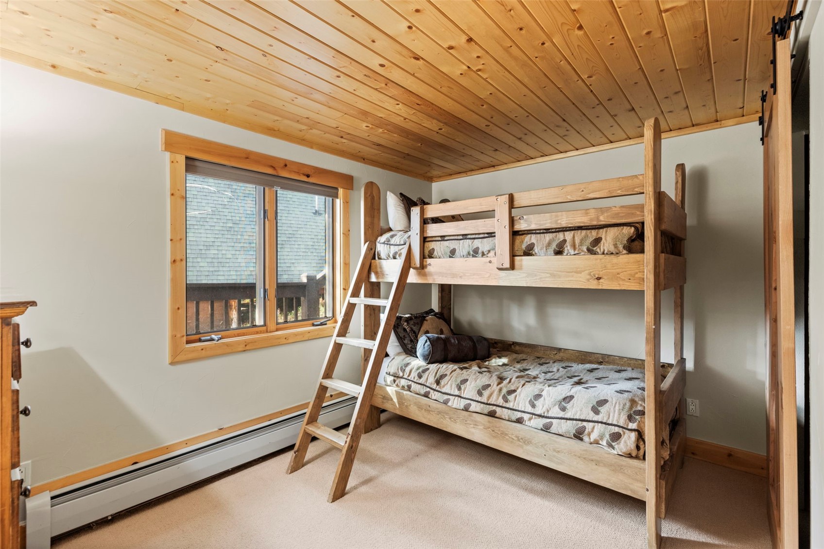 66 Sitzmark Circle Breckenridge CO 80424