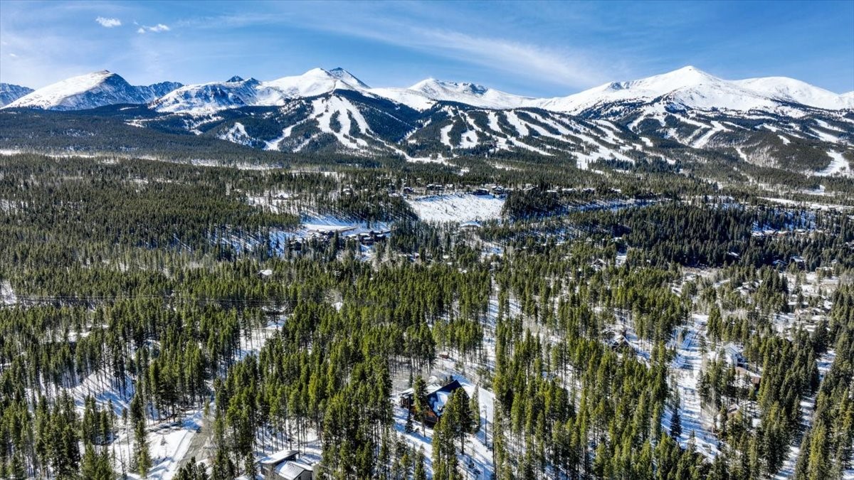 514 Blue Flag Circle Breckenridge CO 80424