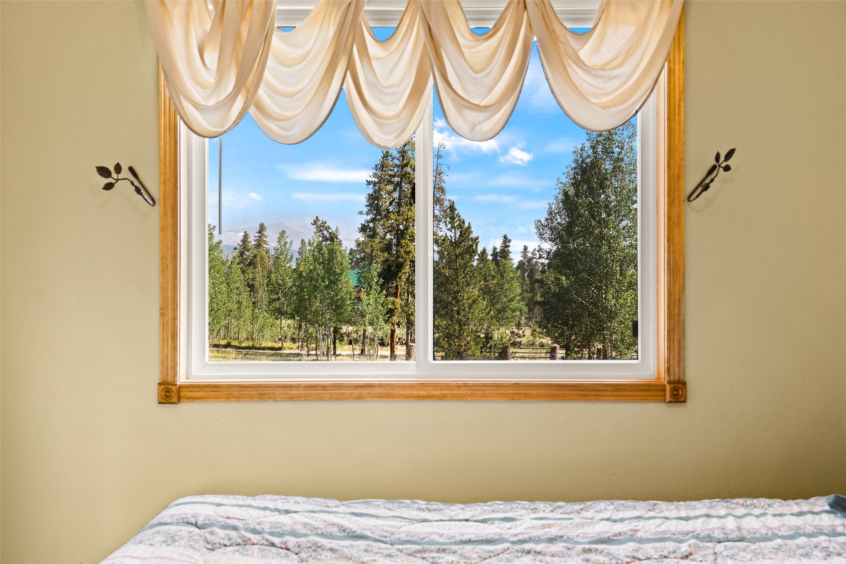 163 Meadow View Lane Fairplay CO 80440