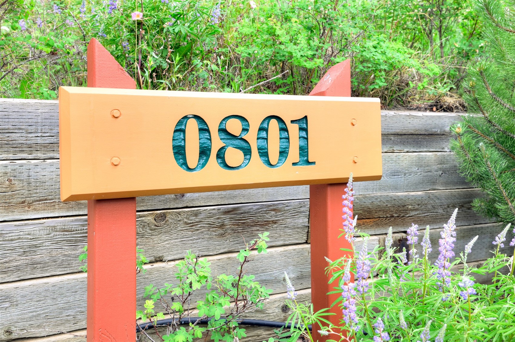 801 Lakeview Circle Silverthorne CO 80498