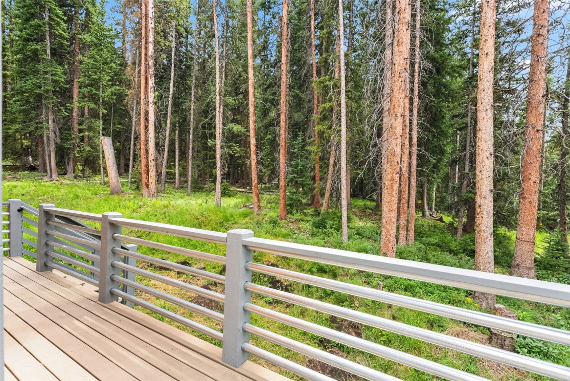 328 Cr 535 Breckenridge CO 80424