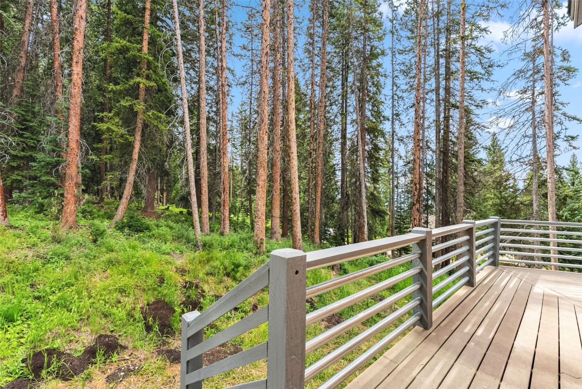 328 Cr 535 Breckenridge CO 80424
