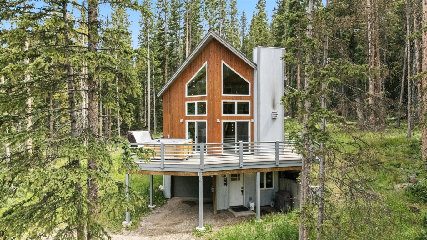 328 Cr 535 Breckenridge CO 80424