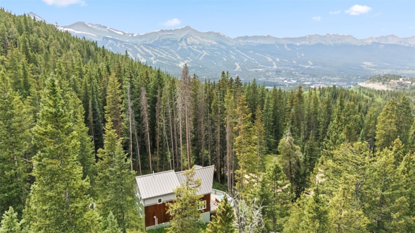 328 Cr 535 Breckenridge CO 80424