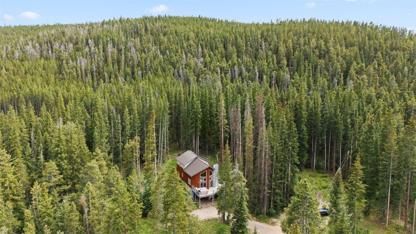 328 Cr 535 Breckenridge CO 80424