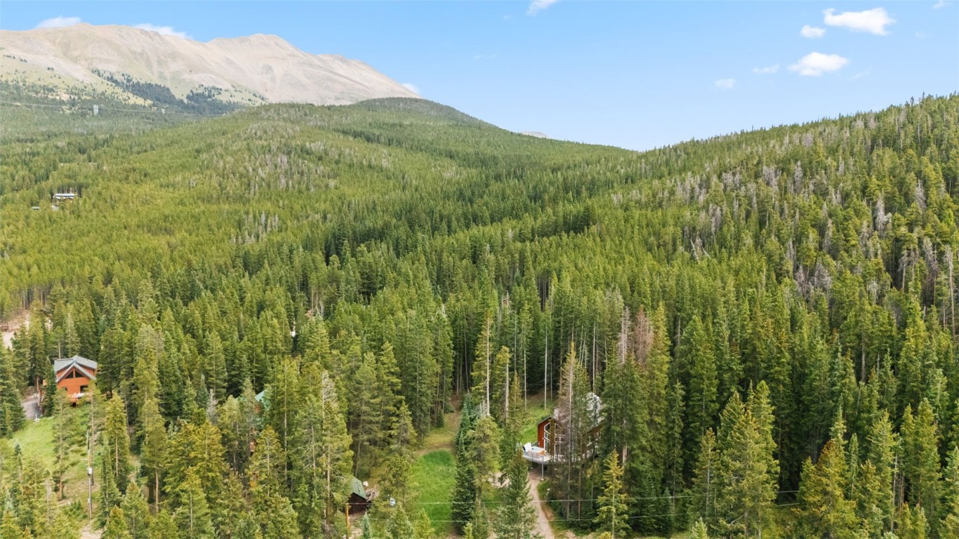 328 Cr 535 Breckenridge CO 80424