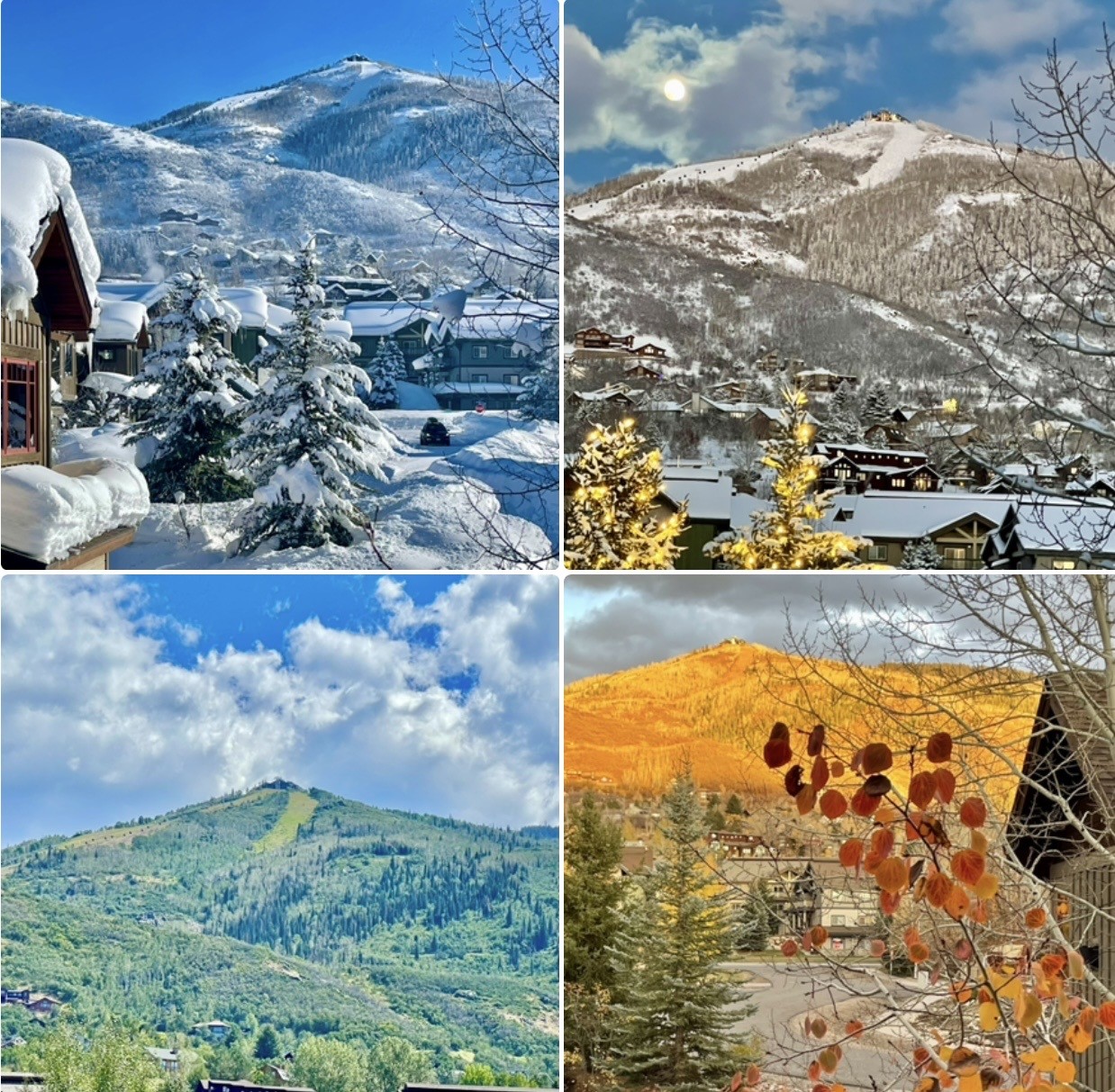 3251 Snowflake Circle Steamboat Springs CO 80487