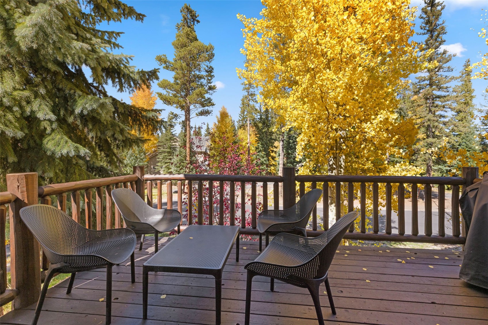 293 Settlers Drive Breckenridge CO 80424