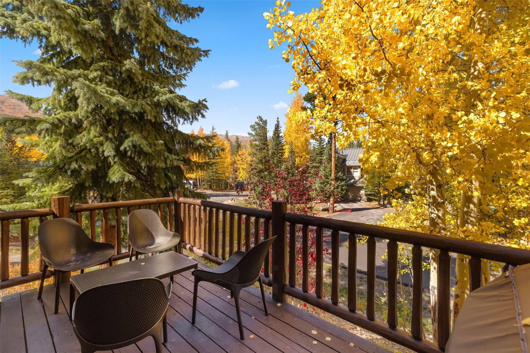 293 Settlers Drive Breckenridge CO 80424