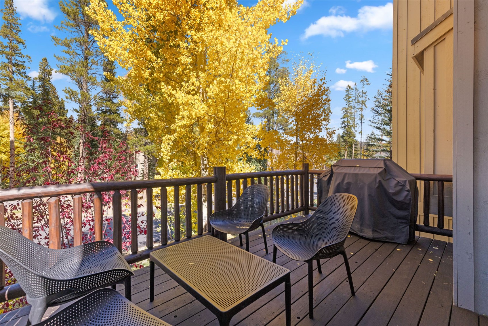 293 Settlers Drive Breckenridge CO 80424
