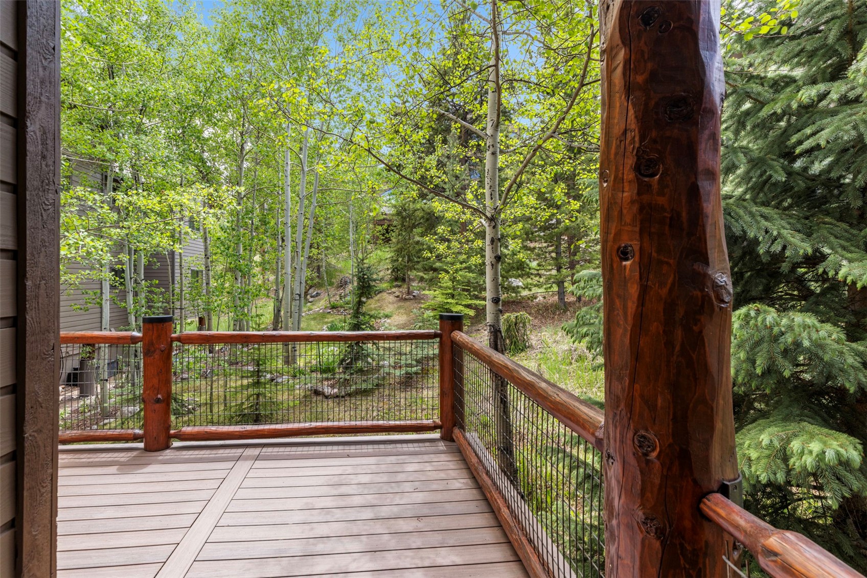 1837 Stellar Drive Silverthorne CO 80498
