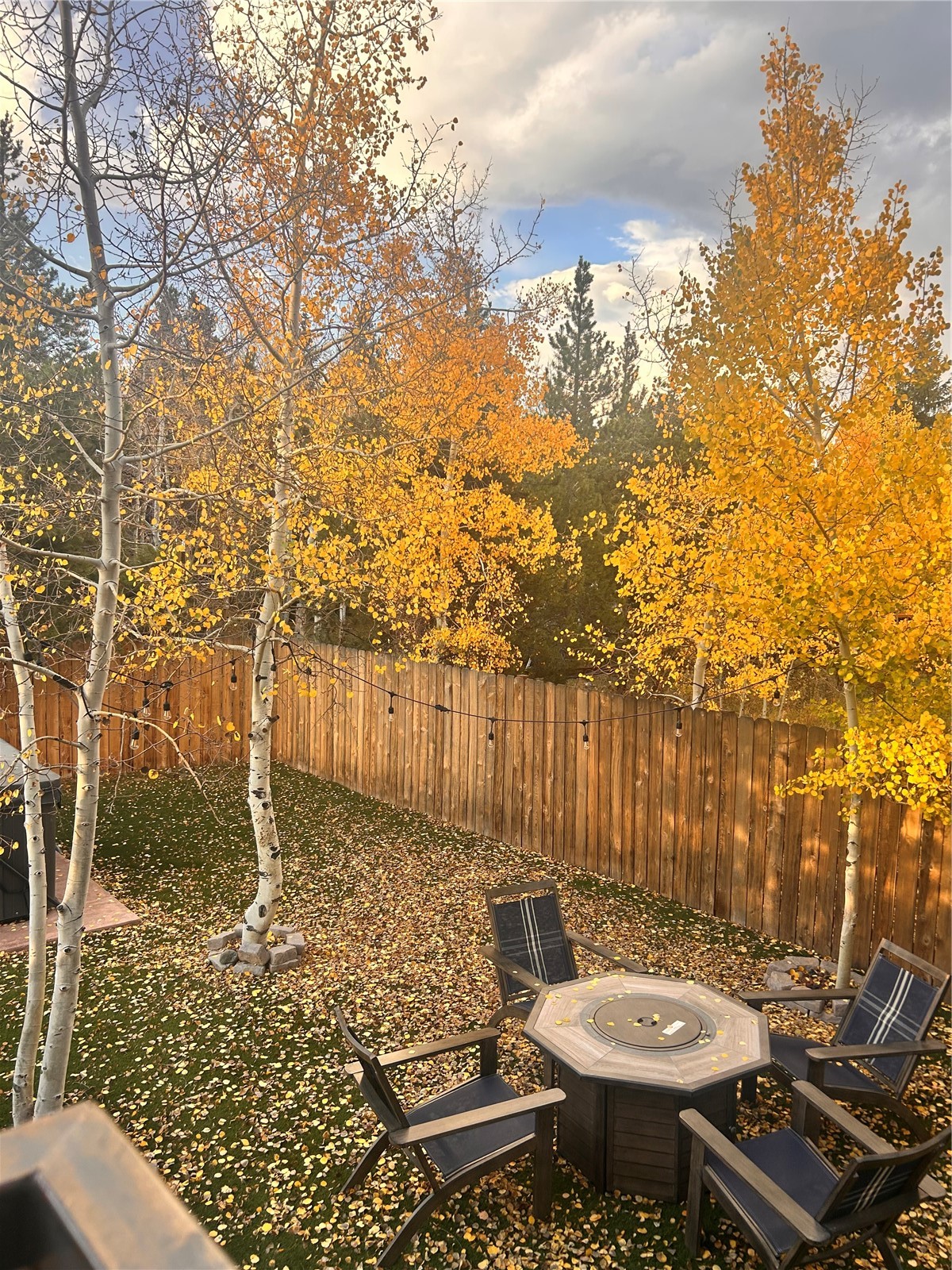 106 E Alpine Drive Frisco CO 80443