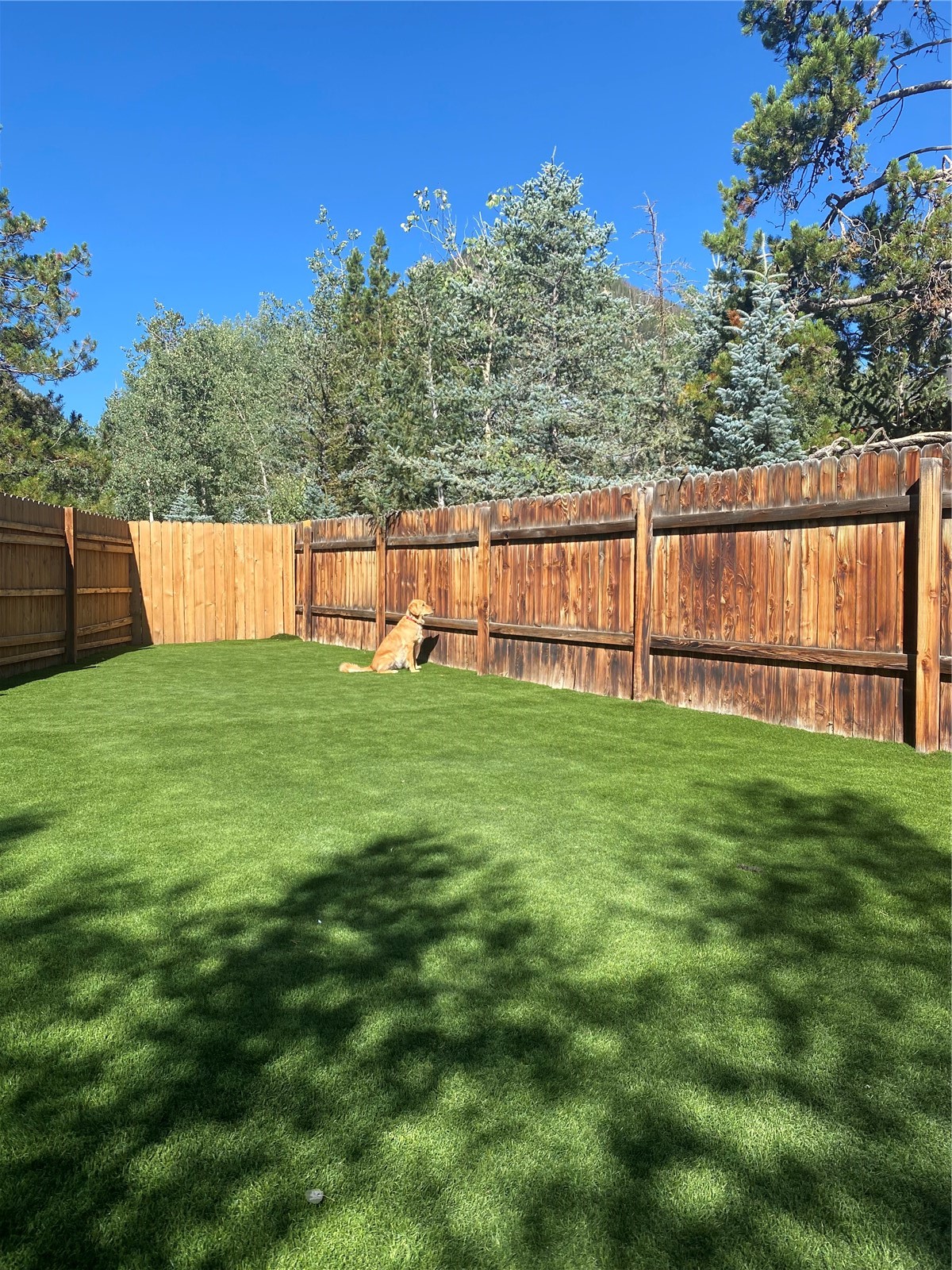106 E Alpine Drive Frisco CO 80443
