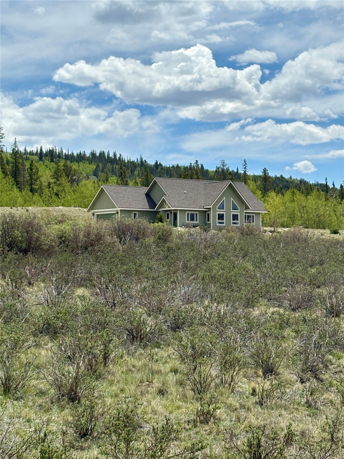 216 Glacier Ridge Road Alma CO 80420