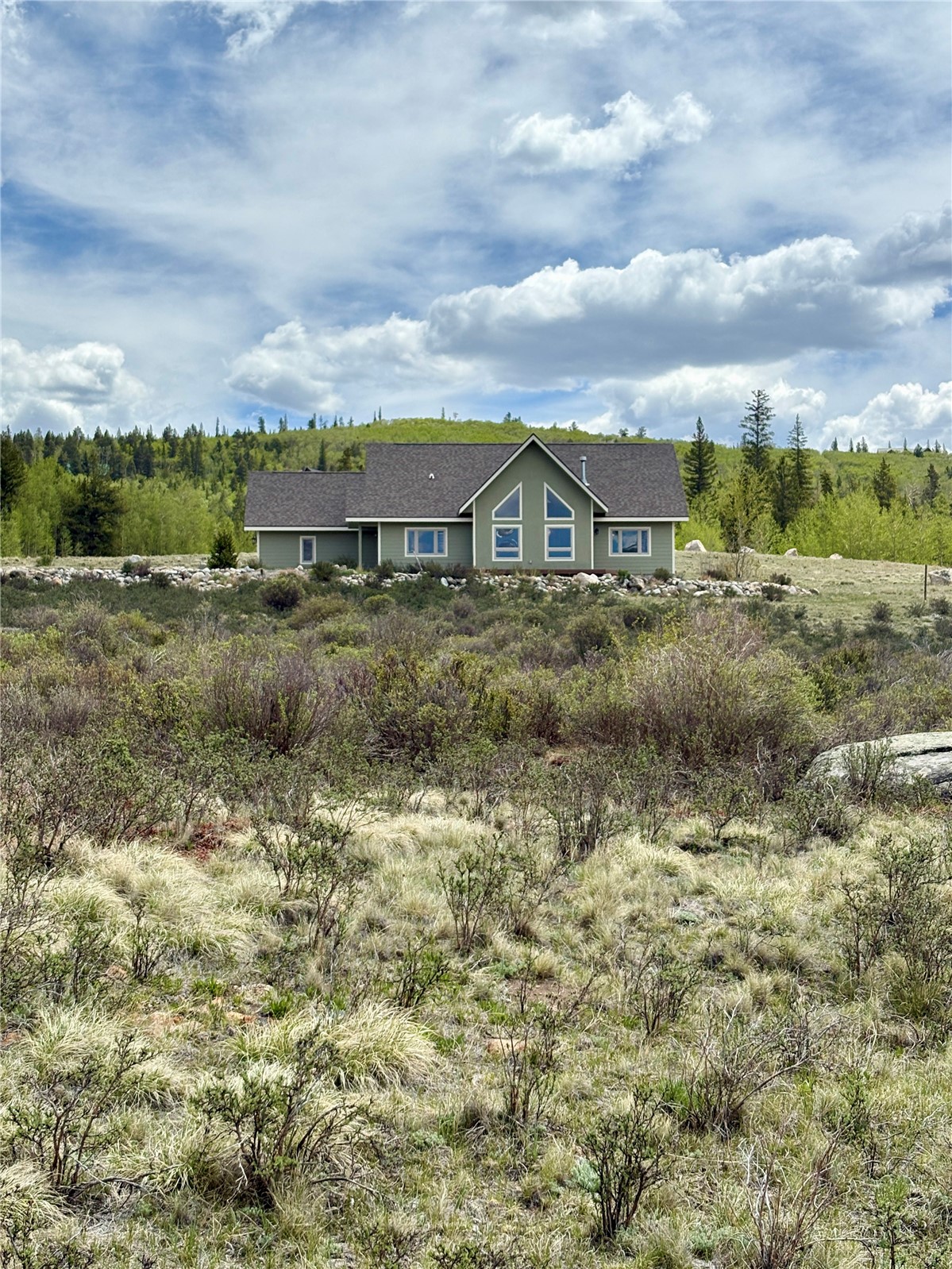 216 Glacier Ridge Road Alma CO 80420