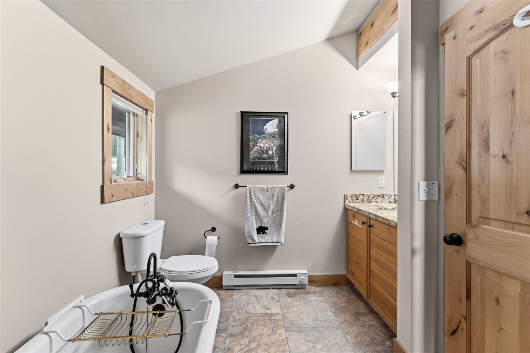 178 Indiana Creek Road Breckenridge CO 80424