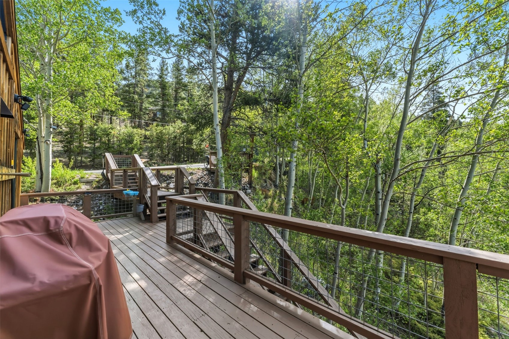 178 Indiana Creek Road Breckenridge CO 80424
