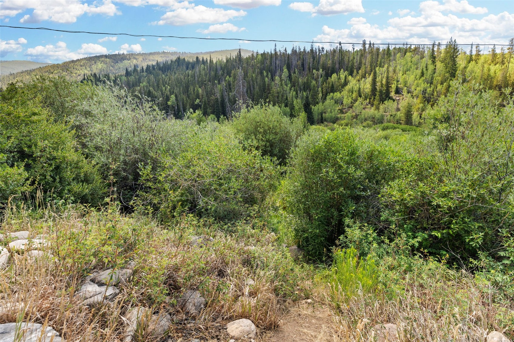 1054 Straight Creek Drive Dillon CO 80435