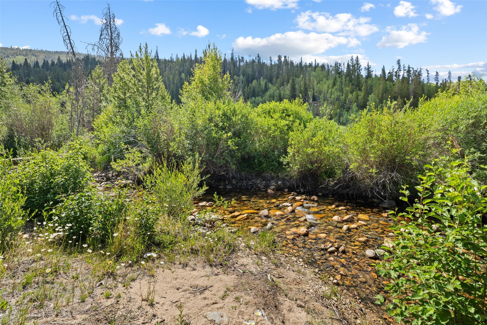 1054 Straight Creek Drive Dillon CO 80435