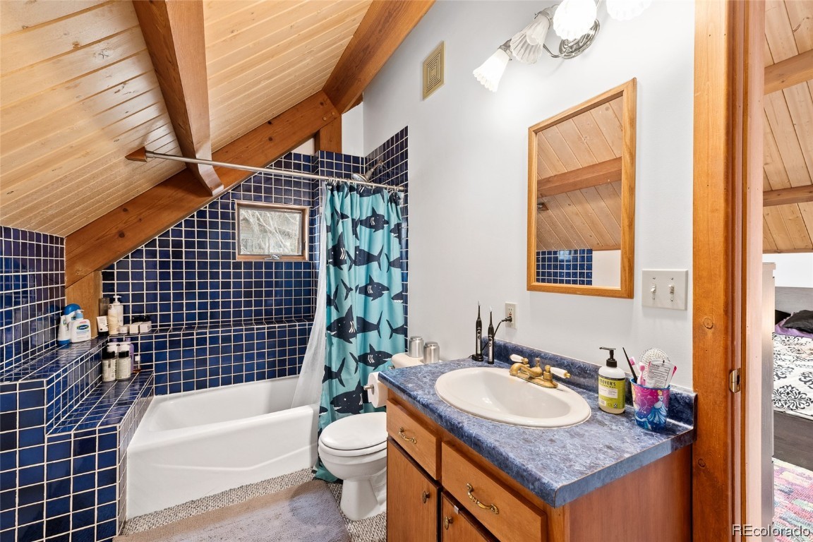 29625 Elk View Drive Steamboat Springs CO 80487