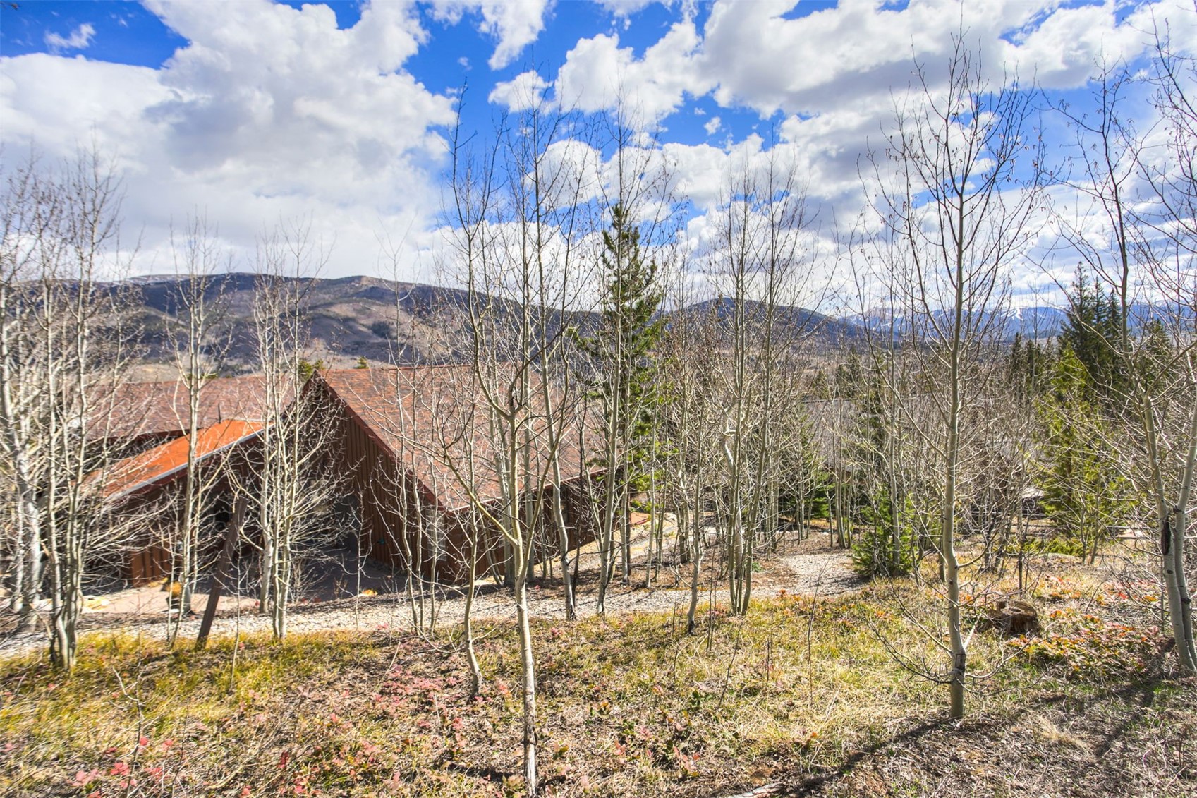 727 Willowbrook Road Silverthorne CO 80498