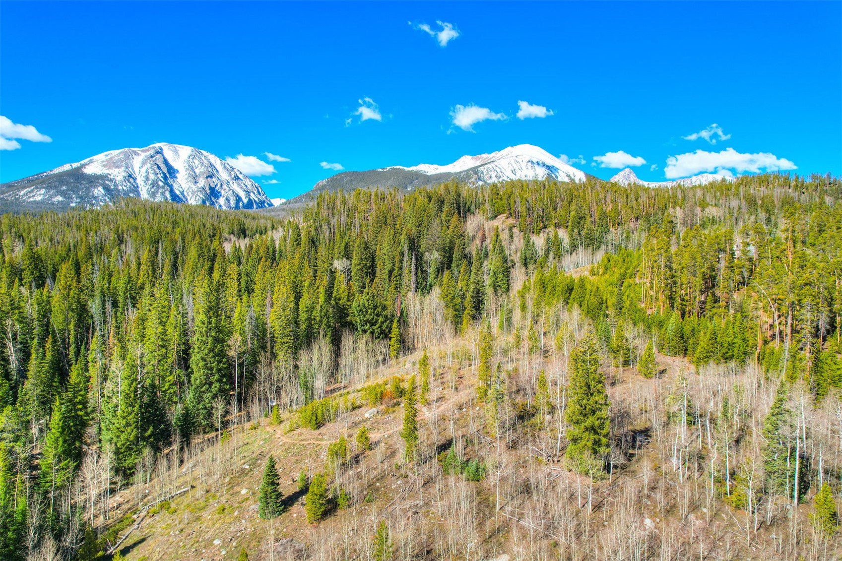 727 Willowbrook Road Silverthorne CO 80498