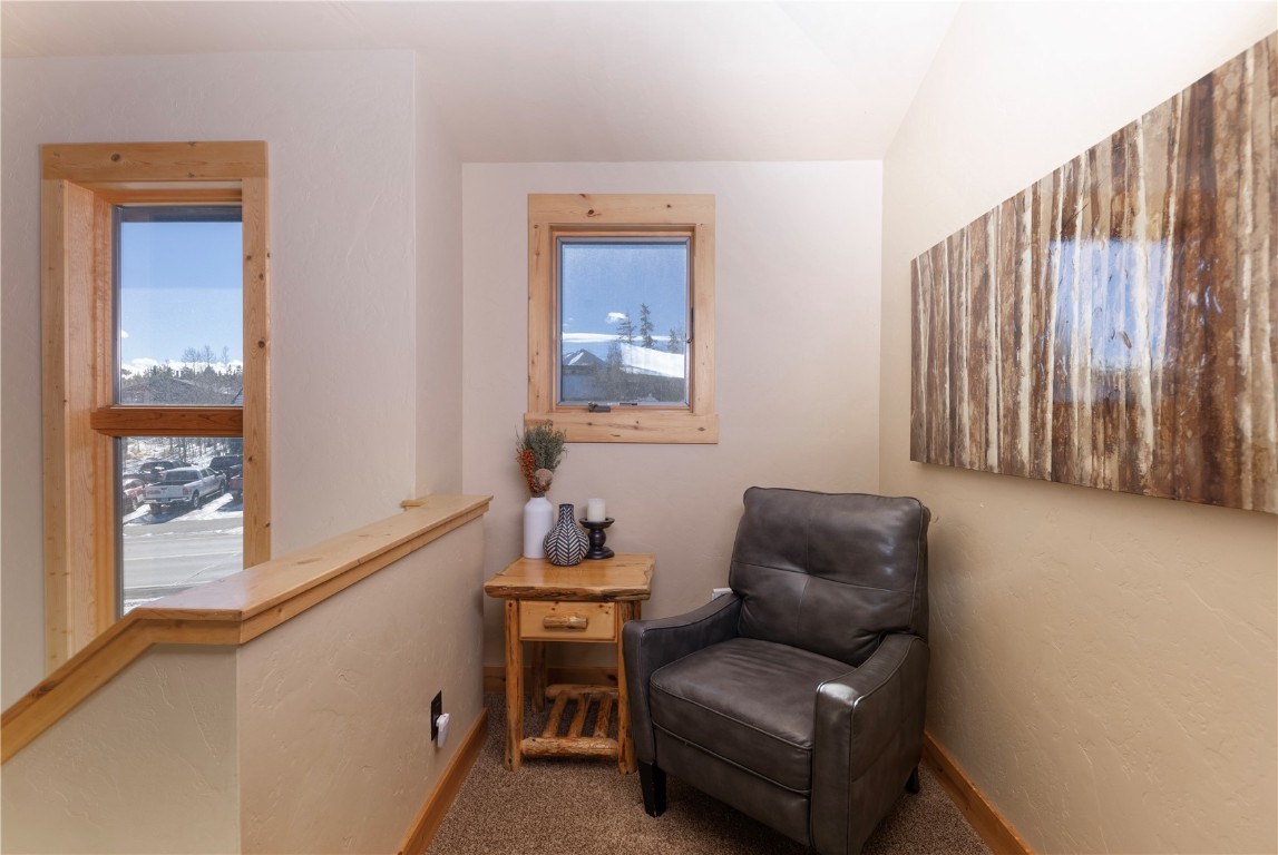 511 Ryan Gulch Road Wildernest CO 80498