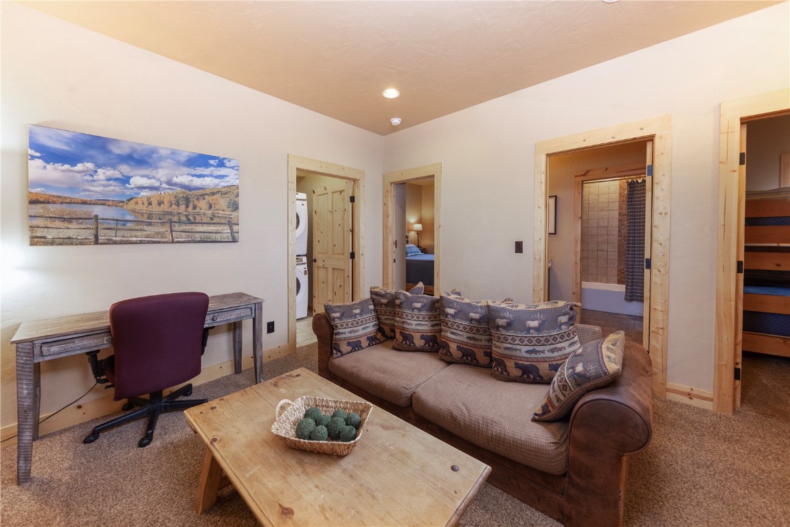 511 Ryan Gulch Road Wildernest CO 80498