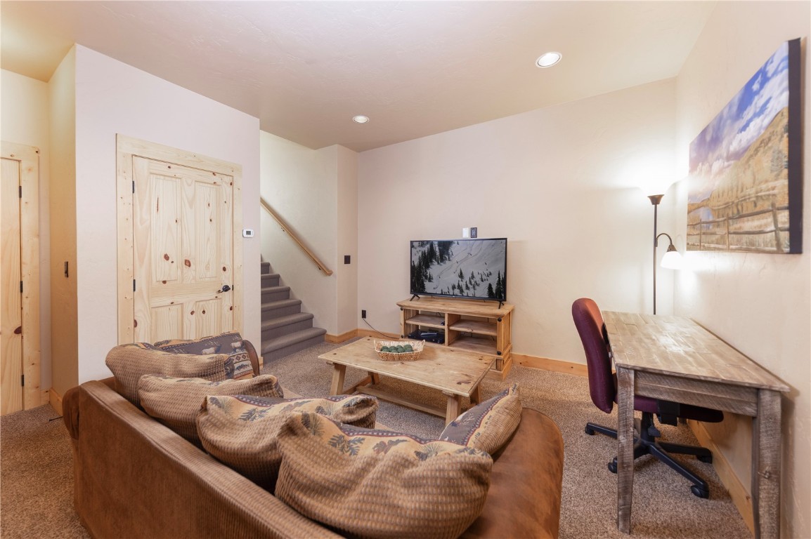 511 Ryan Gulch Road Wildernest CO 80498