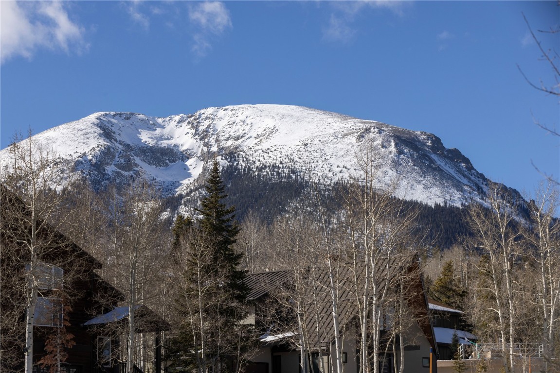 511 Ryan Gulch Road Wildernest CO 80498