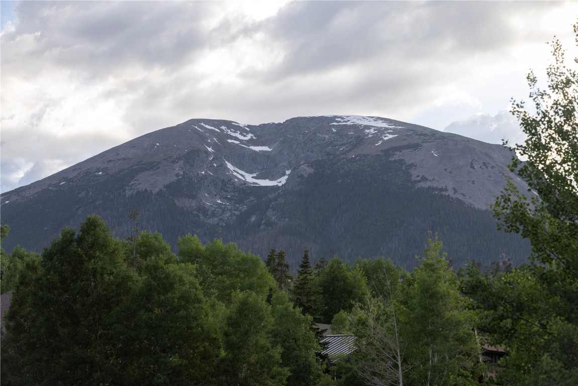 511 Ryan Gulch Road Wildernest CO 80498