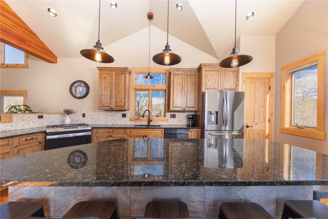 511 Ryan Gulch Road Wildernest CO 80498