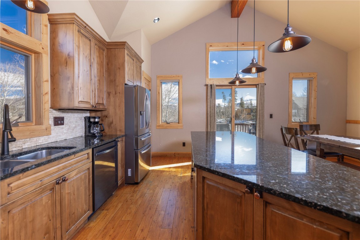 511 Ryan Gulch Road Wildernest CO 80498