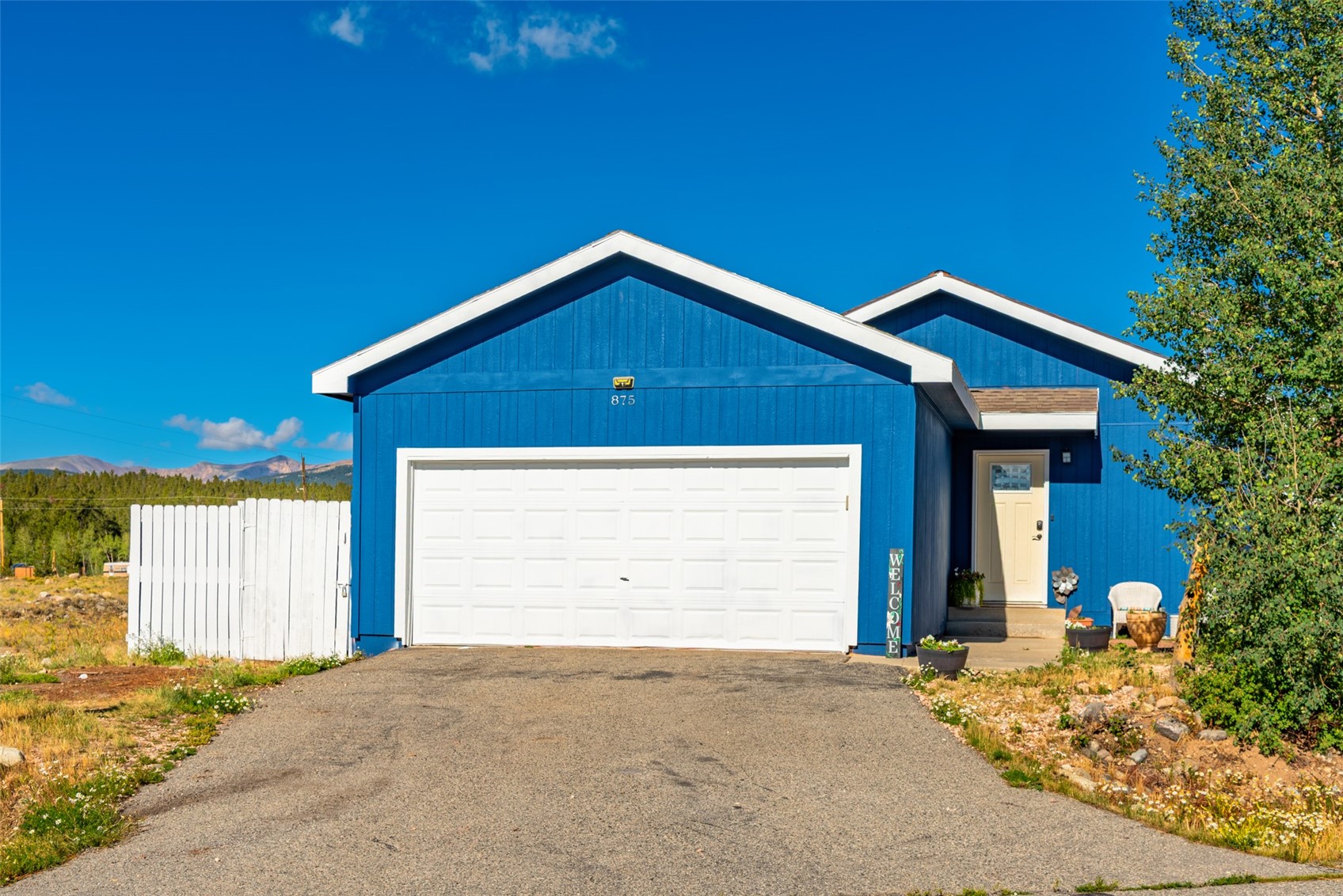 875 Trout Creek Drive Fairplay CO 80440