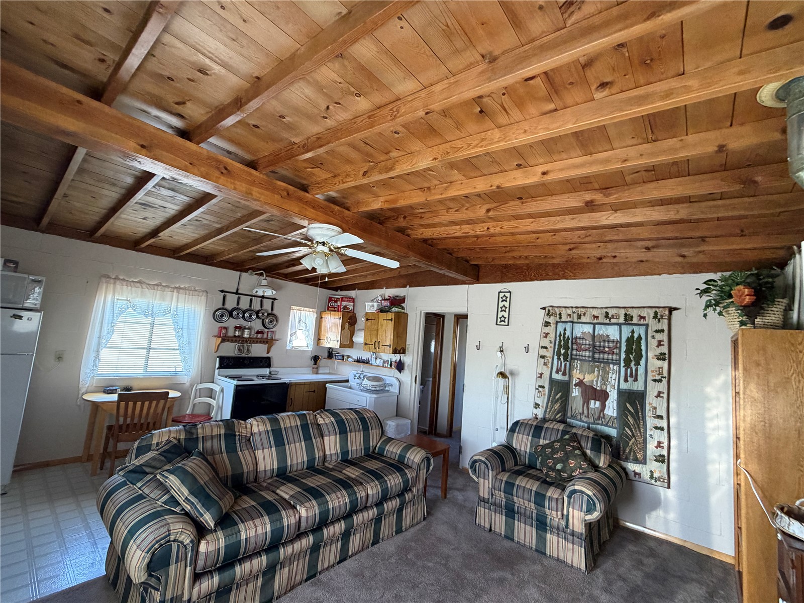 101 Doe Street Hartsel CO 80449
