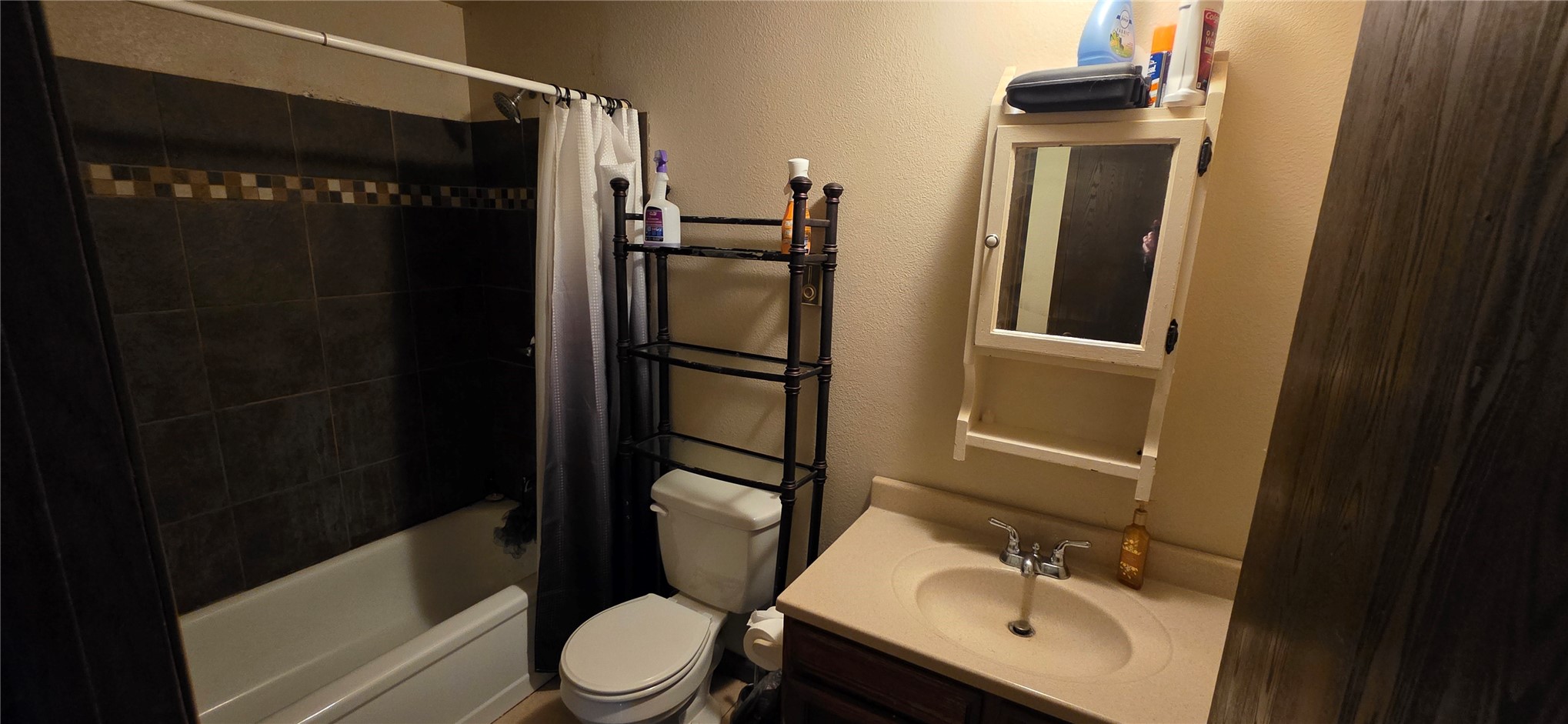 317 Hummingbird Circle Silverthorne CO 80498