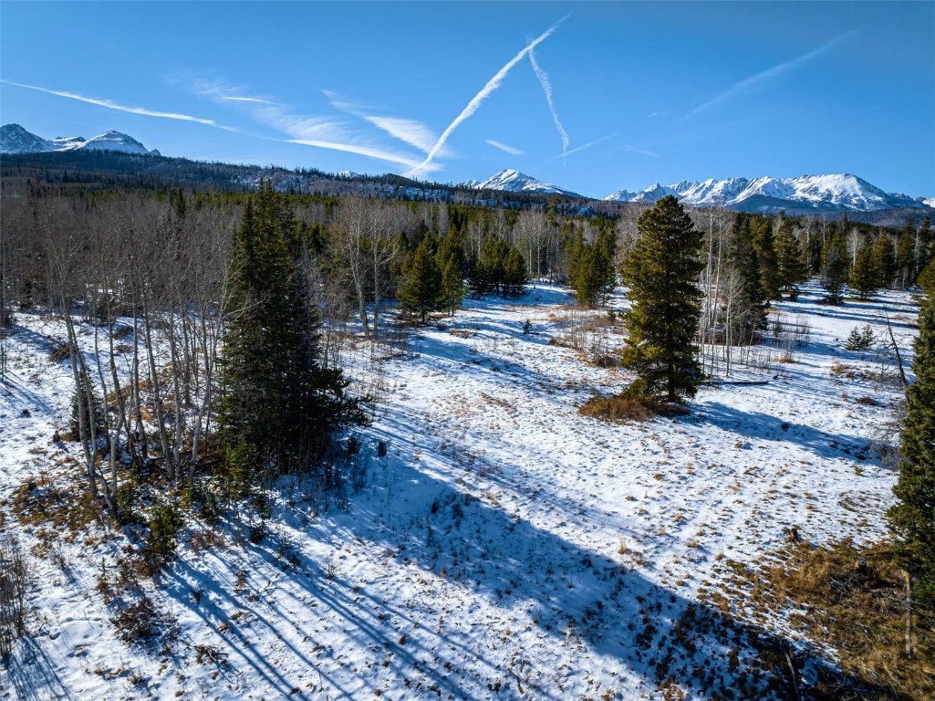 Tbd Whetstone Drive Silverthorne CO 80498