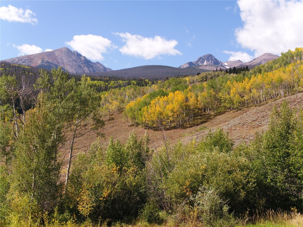 Tbd Whetstone Drive Silverthorne CO 80498