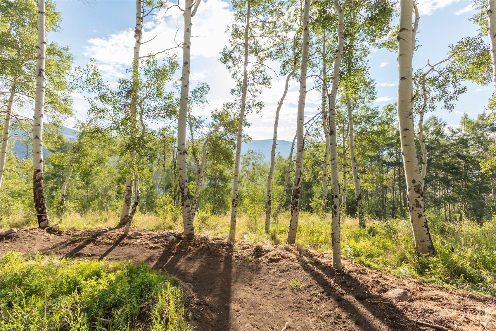 Tbd Whetstone Drive Silverthorne CO 80498