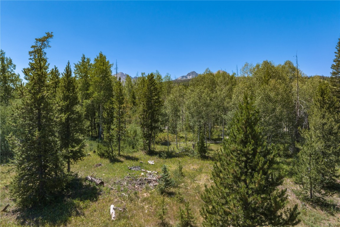 Tbd Whetstone Drive Silverthorne CO 80498