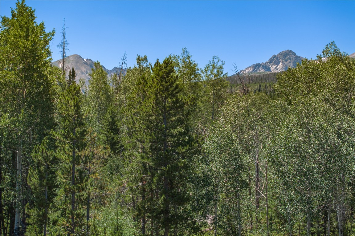 Tbd Whetstone Drive Silverthorne CO 80498