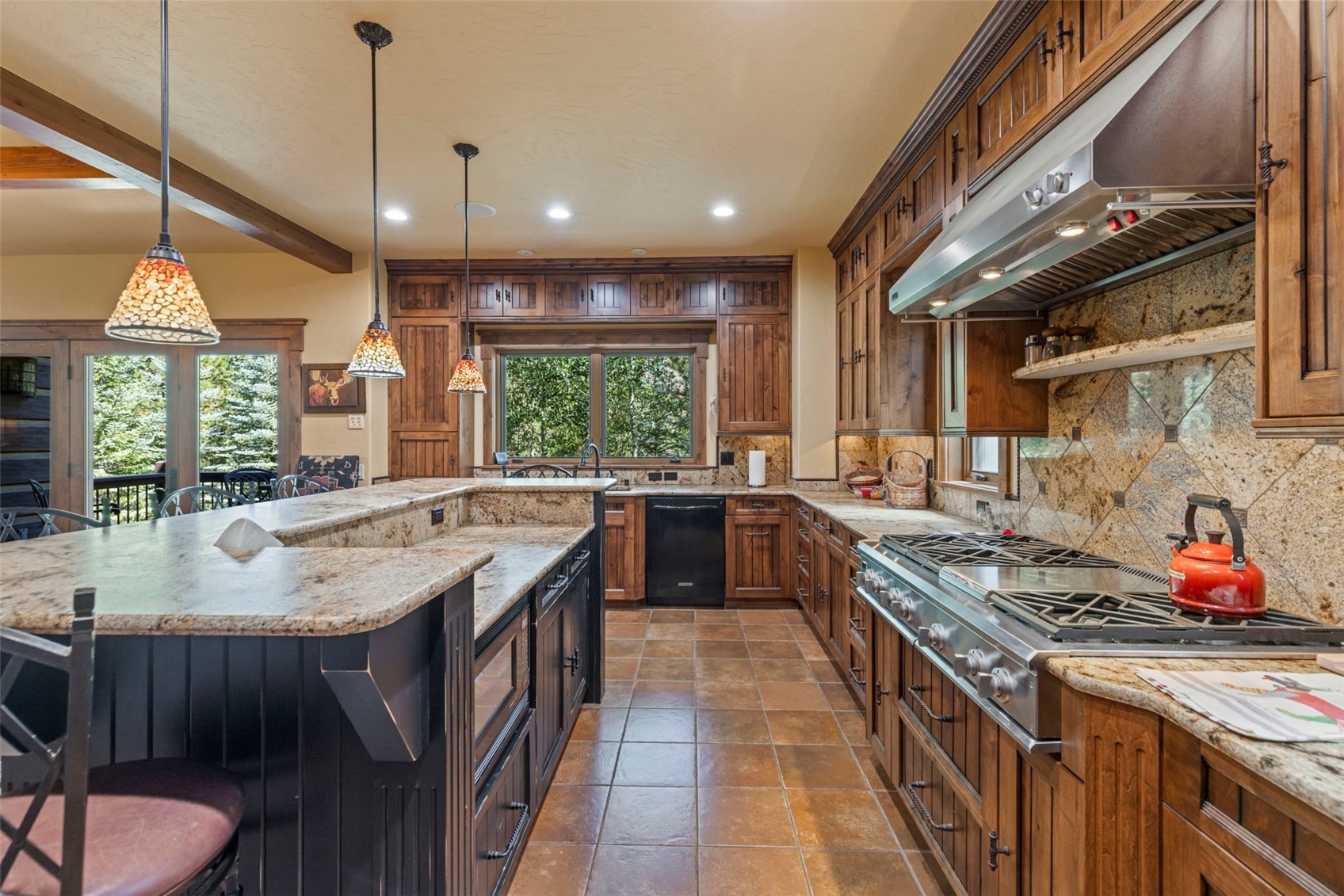 510 Elk Circle Dillon CO 80435
