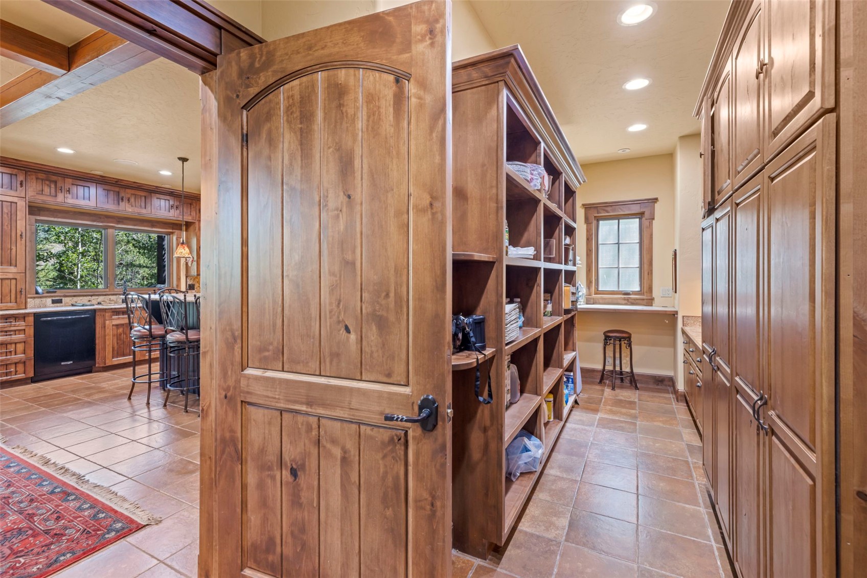 510 Elk Circle Dillon CO 80435