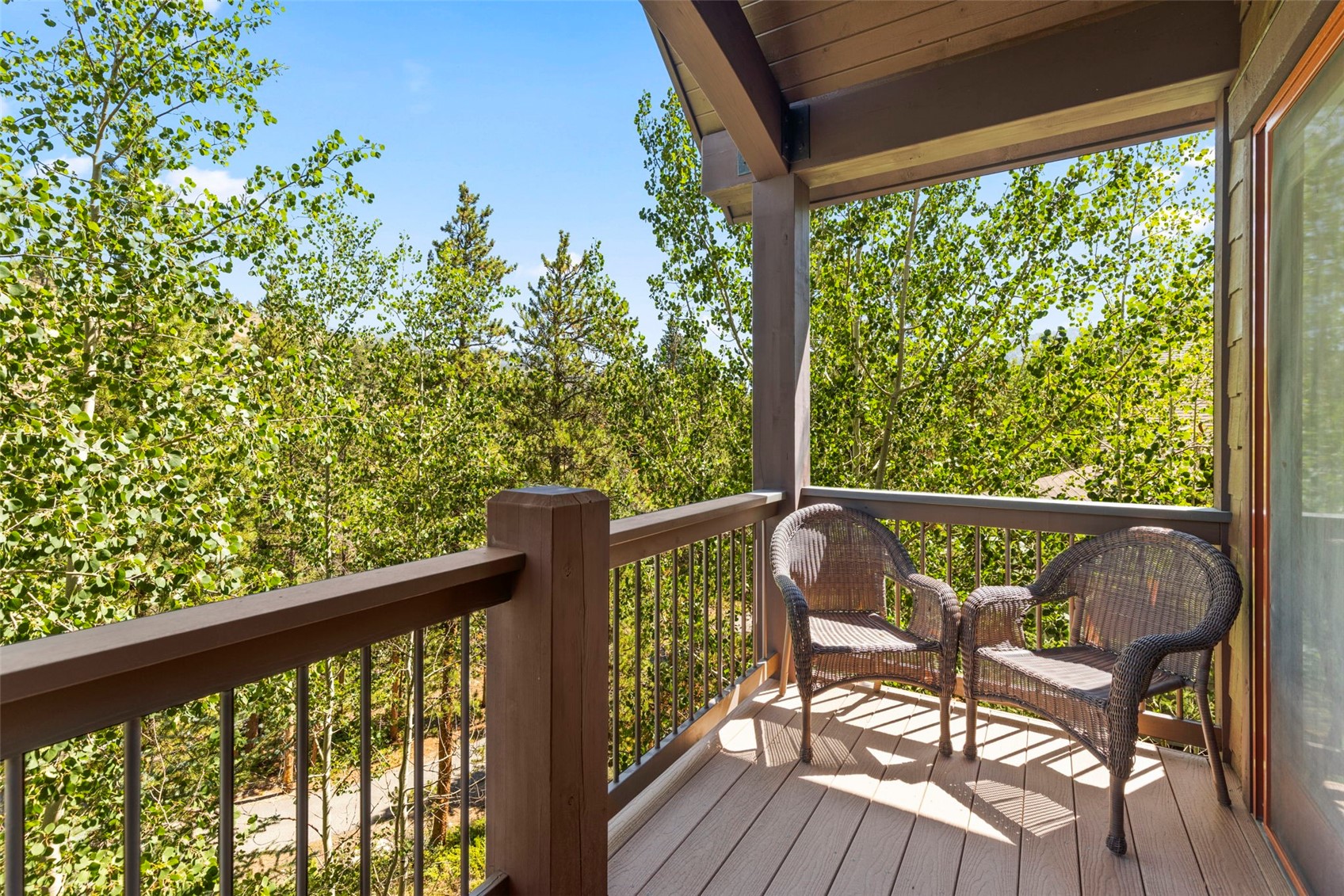 510 Elk Circle Dillon CO 80435