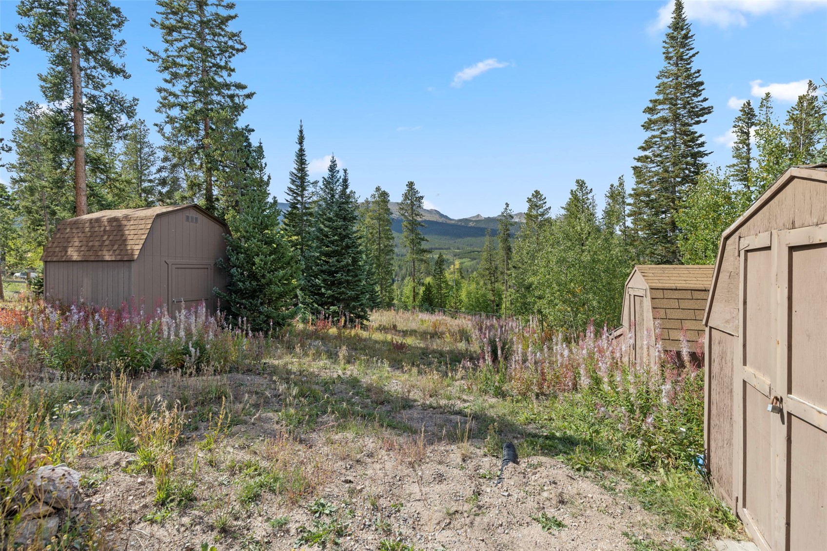 599 American Way Breckenridge CO 80424