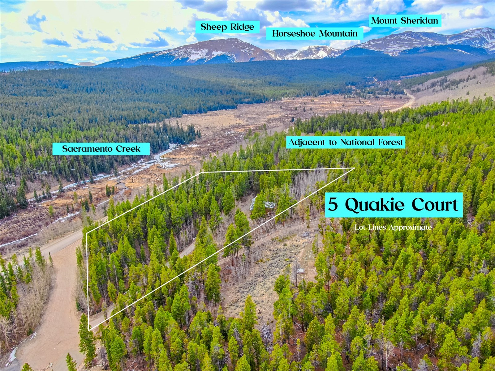 5 Quakie Court Fairplay CO 80440