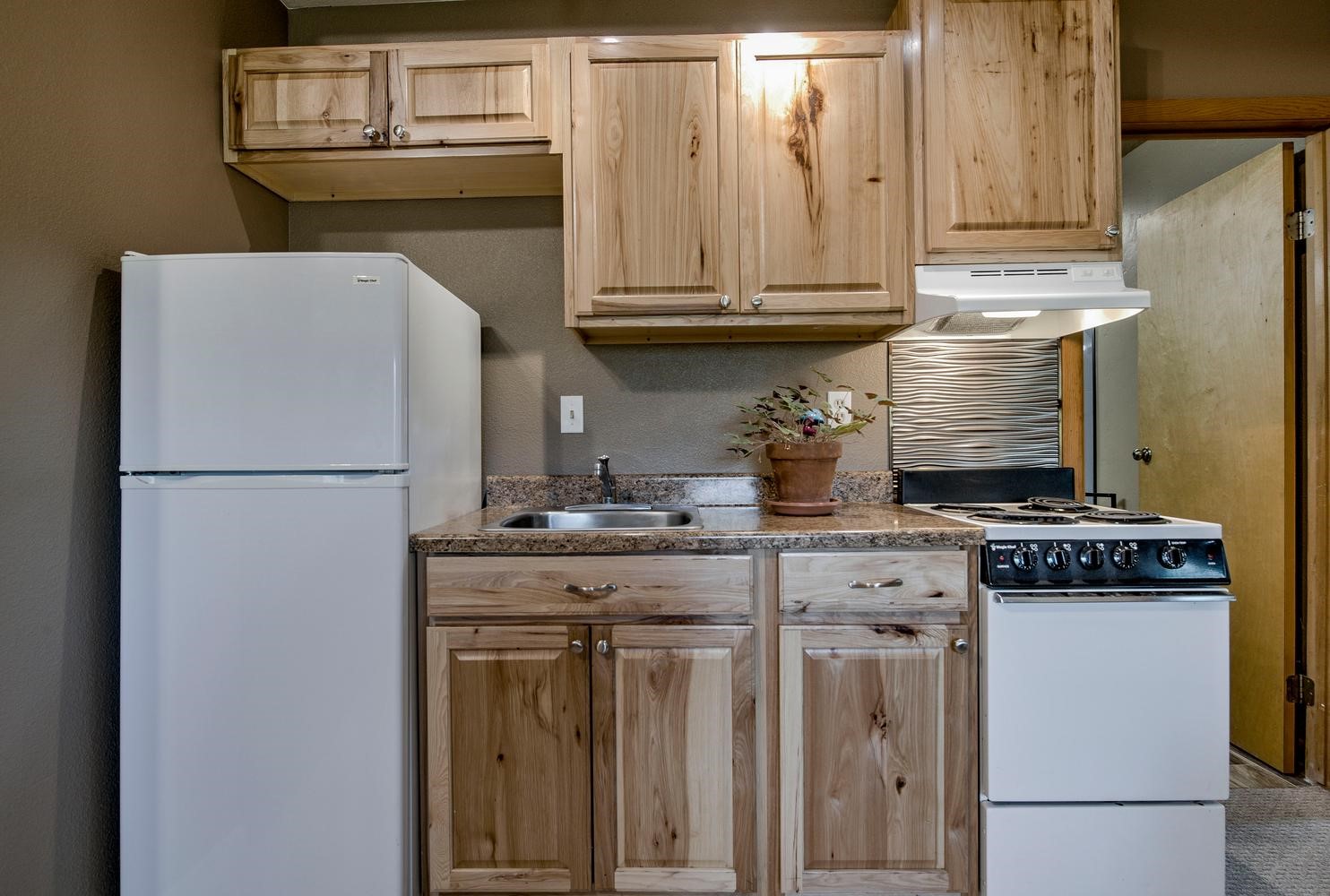 254 Hillside Drive Silverthorne CO 80498