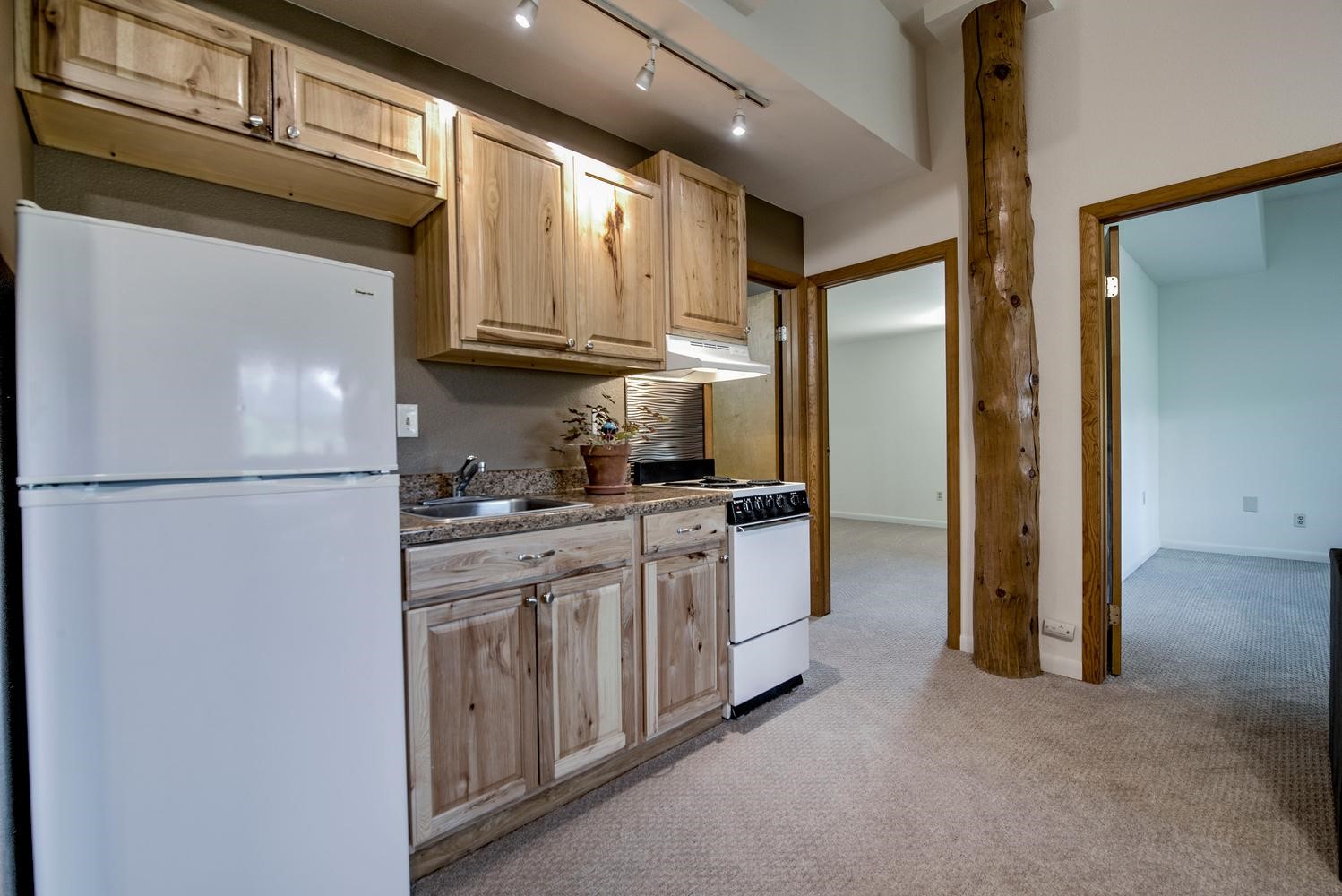 254 Hillside Drive Silverthorne CO 80498