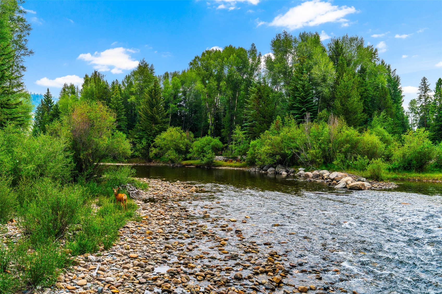 56 Riverside Drive Silverthorne CO 80498