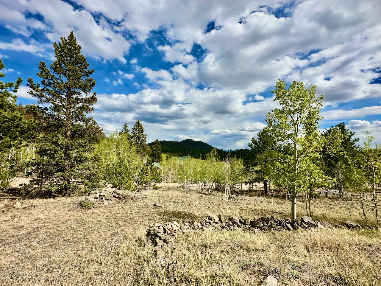 312 Bowstring Road Como CO 80432
